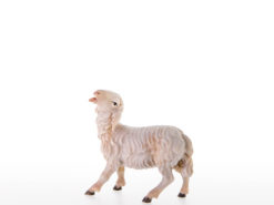 Krippenfigur Schaf für Salzer