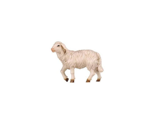 Krippenfigur Mahlknecht Krippe "Schaf stehend Kopf hoch"